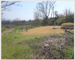  2025Ÿ��5227 ���� ������ ������ �Ļ긮 297-3      ��õ���