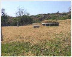  2025Ÿ��5227 ���� ������ ������ �Ļ긮 297-3      ��õ���