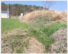  2025Ÿ��5227 ���� ������ ������ �Ļ긮 297-3      ��õ���