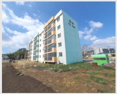  2025Ÿ��5229 ���� ���ﱺ ������ ������ 215-1      �ٰ������ð��