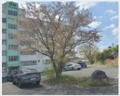  2025Ÿ��5229 ���� ���ﱺ ������ ������ 215-1      �ٰ������ð��