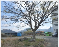  2025Ÿ��5229 ���� ���ﱺ ������ ������ 215-1      �ٰ������ð��