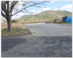  2025Ÿ��5229 ���� ���ﱺ ������ ������ 215-1      �ٰ������ð��