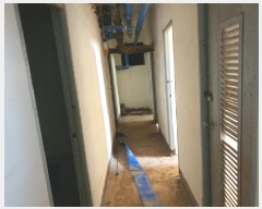  2025Ÿ��5229 ���� ���ﱺ ������ ������ 215-1      �ٰ������ð��