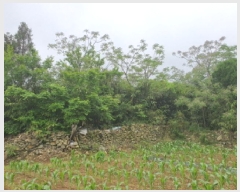  2025Ÿ��5233 ���� ������ ���ϸ� ������ 612-13      ����(��1)���