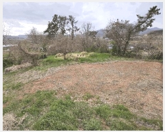  2025Ÿ��5235 ���� ������ ��õ�� ��� 117      ����(����)���