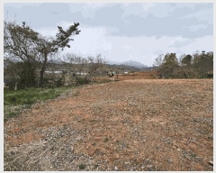  2025Ÿ��5235 ���� ������ ��õ�� ��� 117      ����(����)���