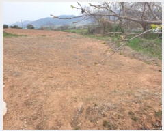  2025Ÿ��5235 ���� ������ ��õ�� ��� 117      ����(����)���