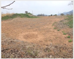  2025Ÿ��5235 ���� ������ ��õ�� ��� 117      ����(����)���