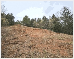  2025Ÿ��5236  �Ӿ߰��