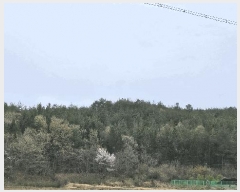  2025Ÿ��5236  �Ӿ߰��