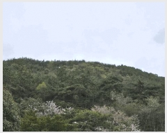  2025Ÿ��5236  �Ӿ߰��