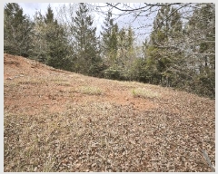  2025Ÿ��5236  �Ӿ߰��