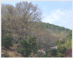  2025Ÿ��5236  �Ӿ߰��