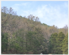  2025Ÿ��5236  �Ӿ߰��