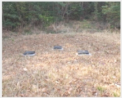  2025Ÿ��5236  �Ӿ߰��