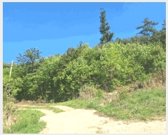  2025Ÿ��5251  �Ӿ߰��