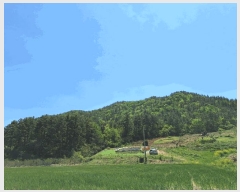  2025Ÿ��5251  �Ӿ߰��