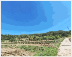  2025Ÿ��5251  �Ӿ߰��