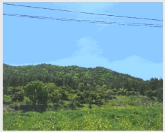  2025Ÿ��5251  �Ӿ߰��