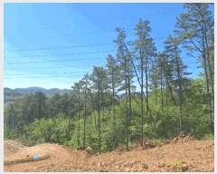  2025Ÿ��5251  �Ӿ߰��