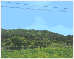  2025Ÿ��5251  �Ӿ߰��