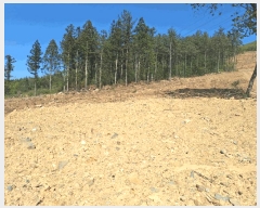  2025Ÿ��5251  �Ӿ߰��