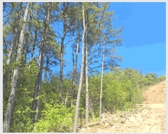  2025Ÿ��5251  �Ӿ߰��