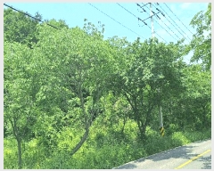  2025Ÿ��5259 ���� ���ﱺ ���� ��߸� ��48-1      ����(�Ӿ�)���