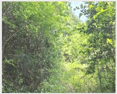  2025Ÿ��5259 ���� ���ﱺ ���� ��߸� ��48-1      ����(�Ӿ�)���