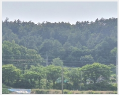  2025Ÿ��5259 ���� ���ﱺ ���� ��߸� ��48-1      ����(�Ӿ�)���