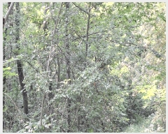  2025Ÿ��5265 ���� ������ ������ ������ 505-6      ����(��)���