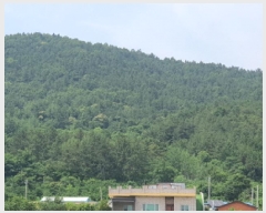  2025Ÿ��5265 ���� ������ ������ ������ ��67      ����(�Ӿ�)���