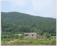  2025Ÿ��5265 ���� ������ ������ ������ ��67      ����(�Ӿ�)���