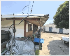  2025Ÿ��5274  �������