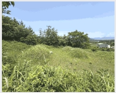  2025Ÿ��5274  �������