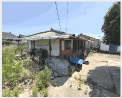  2025Ÿ��5274  �������