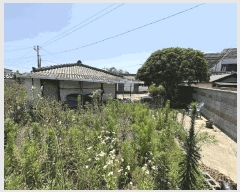  2025Ÿ��5274  �������