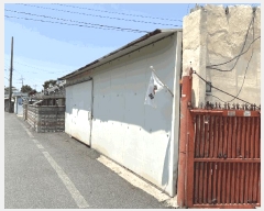  2025Ÿ��5274  �������