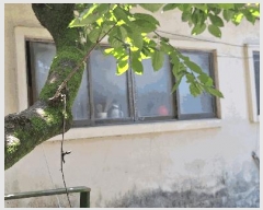  2025Ÿ��5275  �ٸ����ð��