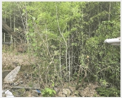  2025Ÿ��5277 ���� ���ﱺ �嵿�� �ϱ��� 447-1      ����(����)���