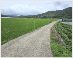  2025Ÿ��5277 ���� ���ﱺ �嵿�� �ϱ��� 447-1      ����(����)���