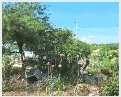  2025Ÿ��5278  �������