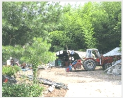  2025Ÿ��5278  �������