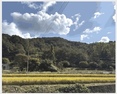  2025Ÿ��5281 ���� ���ﱺ ��ġ�� ������ ��166-1      ����(�Ӿ�)���