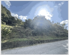  2025Ÿ��5281 ���� ���ﱺ ��ġ�� ������ ��166-1      ����(�Ӿ�)���