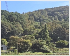  2025Ÿ��5281 ���� ���ﱺ ��ġ�� ������ ��166-1      ����(�Ӿ�)���