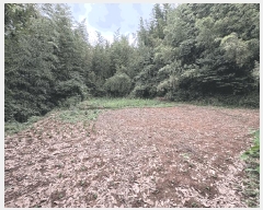  2025Ÿ��5293  ����