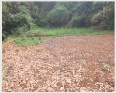  2025Ÿ��5293  ����