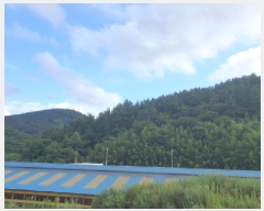  2025Ÿ��5293  ����